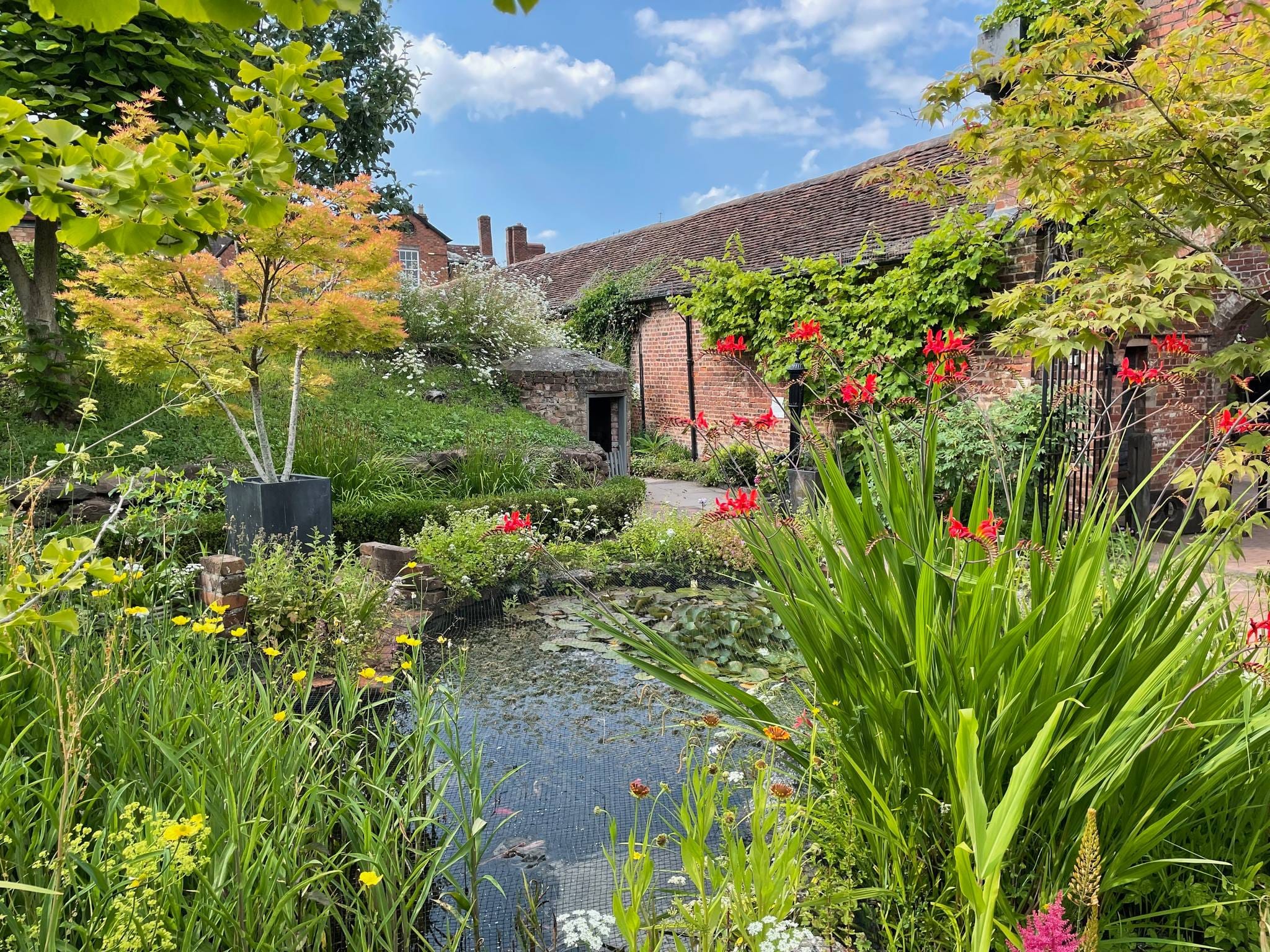View from the Herb Gardens at Bewdley Museum A vibrant summer view from the herb gardens at Bewdley Museum, featuring colourful wildflowers, a small pond, and a backdrop of historic red-brick buildings with lush greenery.